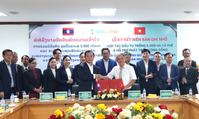 HAGL ký kết trồng 5.000 ha cà phê tại Champasak, hướng tới mục tiêu dẫn đầu thế giới