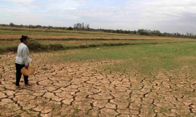 El Nino rất mạnh tác động đến Việt Nam ra sao?