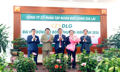 Đức Long Gia Lai (DLG): Mục tiêu lợi nhuận năm 2026 đạt trên 450 tỷ đồng