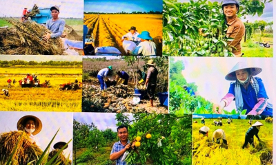 Cắt giảm thủ tục hành chính ở 11 lĩnh vực nông nghiệp và môi trường