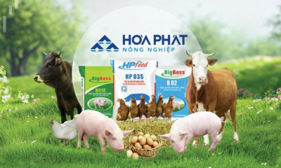 Khi những “trang trại công nghiệp” đang từng bước định hình hệ sinh thái nông nghiệp