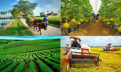 Phấn đấu hỗ trợ 25.000 doanh nghiệp, hộ kinh doanh, hợp tác xã kinh doanh bền vững