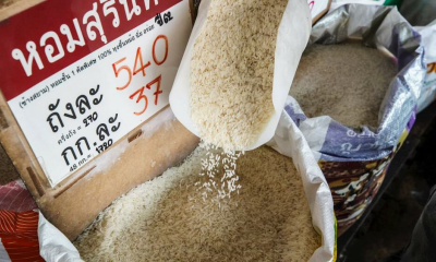 Xuất khẩu gạo Ấn Độ giảm tốc, Việt Nam đứng trước cơ hội mở rộng thị phần
