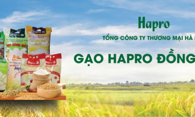 Gạo Hapro Đồng Tháp – Nâng tầm hạt ngọc Việt