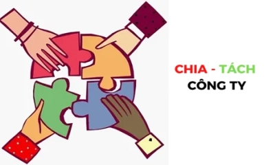 Doanh nghiệp tái cấu trúc: Nên chia hay tách công ty để tối ưu vận hành?