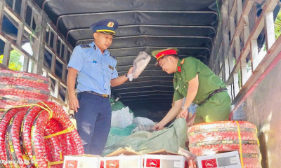 Phạt gần 600 triệu đồng, chuyển hình sự 2 vụ chở hàng giả 'khủng' tại Gia Lai