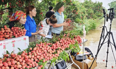 Thương mại điện tử mở đường mới cho chuỗi giá trị nông sản
