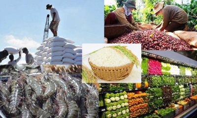 5 tháng đầu năm xuất khẩu nông lâm thủy sản đạt gần 30 tỷ USD