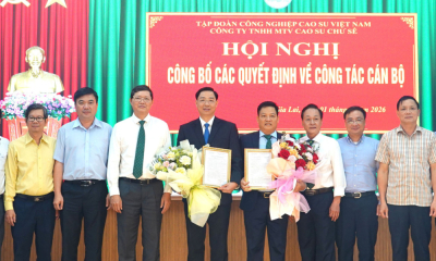 Ông Nguyễn Tiến Dũng làm tân Chủ tịch HĐTV Cao su Chư Sê sau sáp nhập