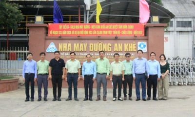 Dự án Nhà máy ethanol An Khê: ‘Mắt xích’ quan trọng cho an ninh năng lượng