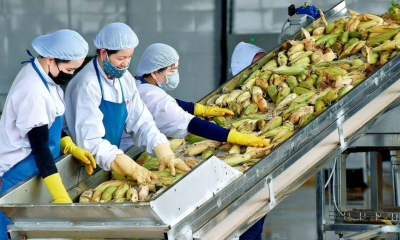 Cục Hải quan yêu cầu ưu tiên thông quan nông sản xuất khẩu trong ngày