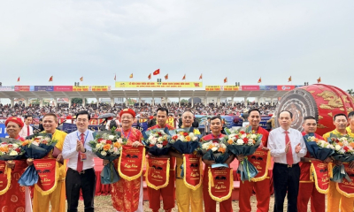 Khốc liệt vòng đấu loại chọi trâu Đồ Sơn 2026 những kháp đấu nghẹt thở