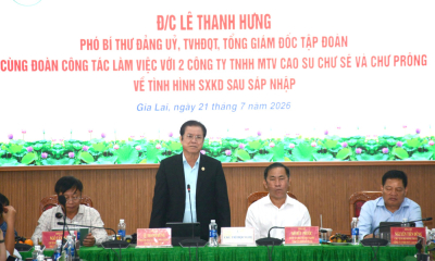 Cao su Chư Sê, Chư Prông: Ổn định bộ máy, chăm lo người lao động sau sáp nhập