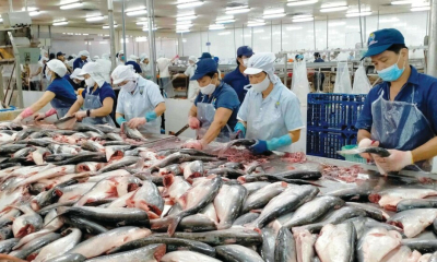 Xuất khẩu thủy sản chững lại, ba kịch bản cho năm 2026
