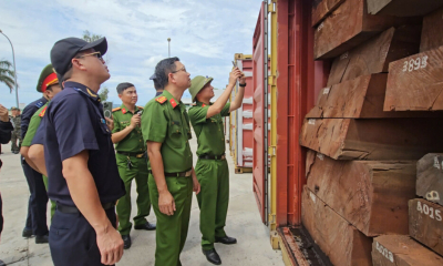 Lật tẩy thủ đoạn giấu hơn 1,1 tấn ngà voi trong 3 container gỗ nhập khẩu