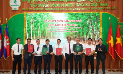 Cao su Chư Sê – Kampong Thom ký kết hợp tác chiến lược với các đối tác ngành gỗ