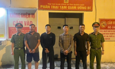 Quảng Ninh: Bắt nhóm đối tượng trộm cắp tài sản tại Công ty Than Nam Mẫu – TKV