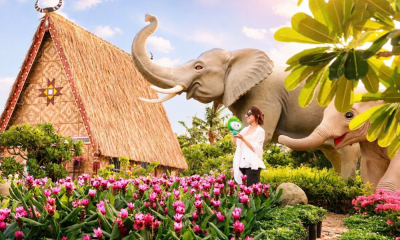 Gia Lai: Mang sắc màu đại ngàn về phố biển Quy Nhơn