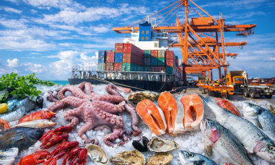 8 tháng xuất khẩu thủy sản đạt 7,94 tỷ USD