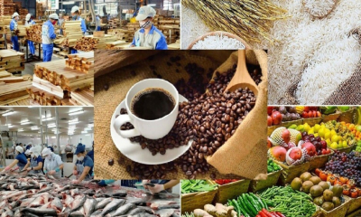 Nông nghiệp đã xuất khẩu hơn 49 tỷ USD, còn thiếu gần 25 tỷ USD để về đích