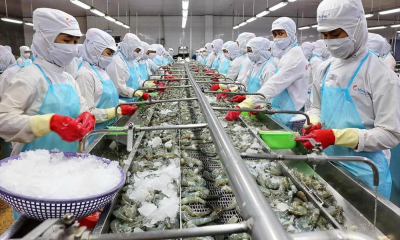 Đà tăng xuất khẩu thủy sản có thể chậm lại trong quý IV