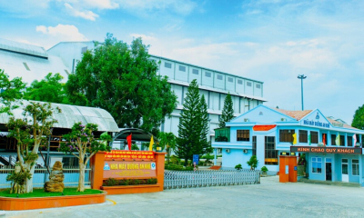 Gia Lai: Phát triển vùng nguyên liệu mía 40.000 ha theo hướng kinh tế tuần hoàn xanh