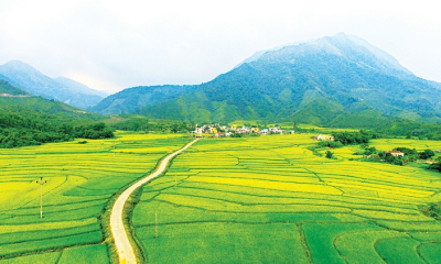 Xã Đầm Hà trên hành trình nâng cao chất lượng các tiêu chí nông thôn mới