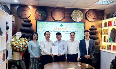 Chè Shan tuyết vùng núi cao tìm hướng nâng giá trị từ liên kết và chuẩn hóa