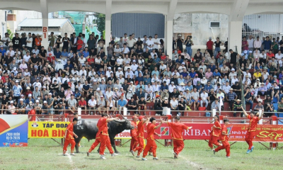 Nảy lửa sới chọi Đồ Sơn VTV 2026: Những 