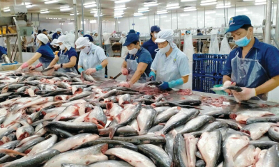 Trung Quốc đóng góp 62% mức tăng xuất khẩu thủy sản Việt Nam