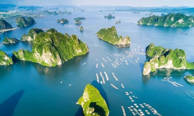 Quảng Ninh triển khai nhiều chương trình kích cầu du lịch