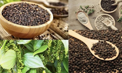 Xuất khẩu hồ tiêu thu gần 1,4 tỷ USD sau 9 tháng
