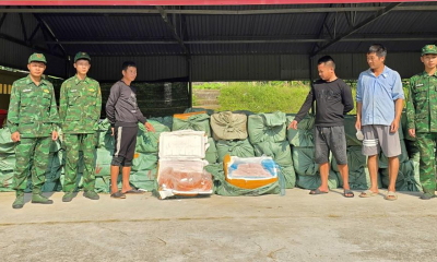Hơn 6 tấn nầm lợn, trứng gà non không rõ nguồn gốc tại Quảng Ninh bị bắt giữ