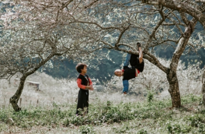 Mộc Châu mùa hoa mận