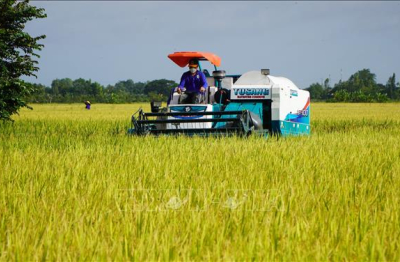 Ngành nông nghiệp và WB bàn giải pháp hỗ trợ đề án 1 triệu ha lúa chất lượng cao