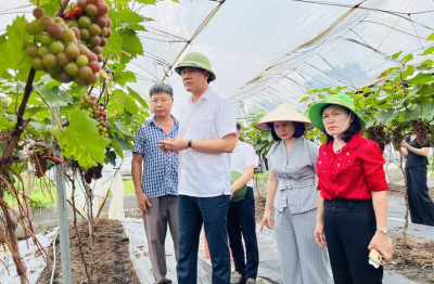 Hiệu quả sản xuất từ Diễn đàn Khuyến nông@