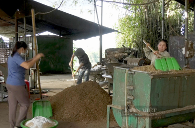 Trang trại nấm hương 