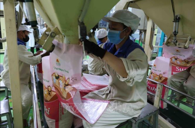 Xuất khẩu gạo tăng hơn 23% về trị giá