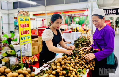 Phiên chợ nông sản, đặc sản vùng miền năm 2025 hấp dẫn người dân Thủ đô