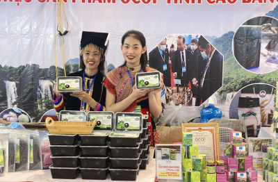 Địa phương tích cực vào cuộc: OCOP bước sang giai đoạn xúc tiến chiều sâu