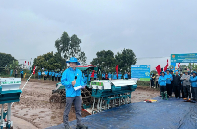 Lúa phát thải thấp: Đồng bằng sông Hồng vào guồng chuyển đổi xanh