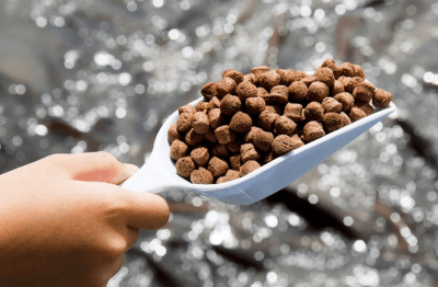 Trình tự, thủ tục cấp phép nhập khẩu thức ăn thủy sản