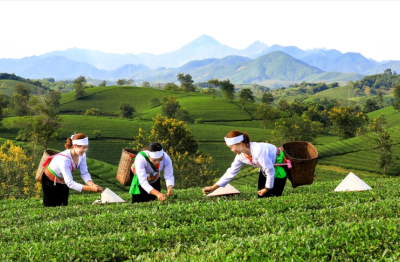 Phát triển sản phẩm OCOP gắn với du lịch – hướng đi gia tăng giá trị và thương hiệu địa phương