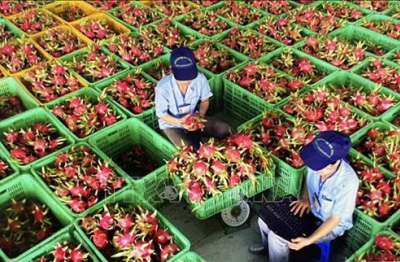 Kiên định mục tiêu, biến thách thức thành cơ hội