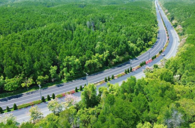 TP.HCM chuẩn bị “mở toang cửa biển”: Siêu trục Rừng Sác - cầu Cần Giờ - đường vượt biển lộ diện