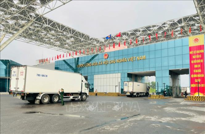 Thu ngân sách từ xuất nhập khẩu tăng 16,5%