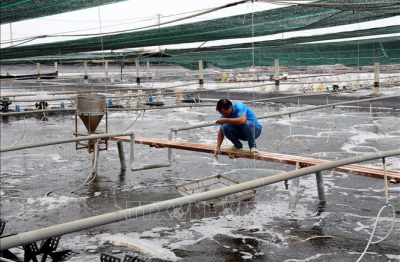 Canh tác biển, động lực mới cho kinh tế biển Việt Nam