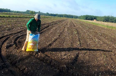 Giải nén áp lực chi phí sản xuất nông nghiệp 