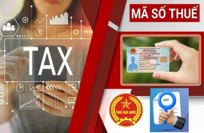 Xử lý doanh nghiệp ngừng hoạt động: Kinh nghiệm quốc tế và bài toán cải cách quản lý thuế ở Việt Nam