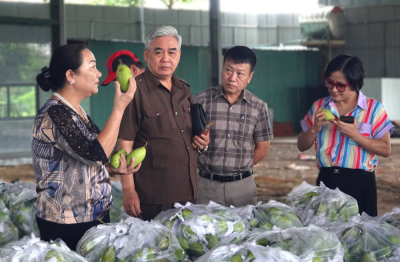 Đẩy mạnh phát triển “chuỗi liên kết trong sản xuất và tiêu thụ sản phẩm nông nghiệp”